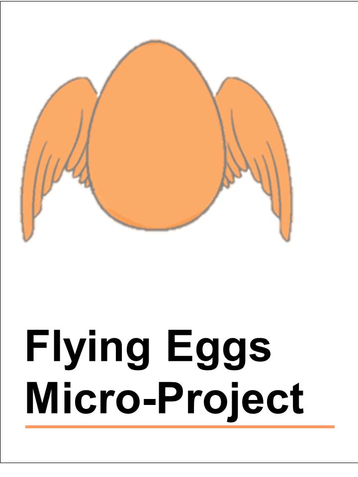 Button_flying_eggs_micro_project.jpg