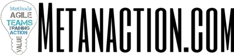 logo-metanaction-2017.png